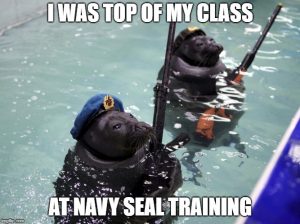 How To Check If Someone Was A Navy SEAL - Operation Military Kids