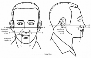 Army Grooming Standards: Haircuts, Mustaches, Beards, And More ...